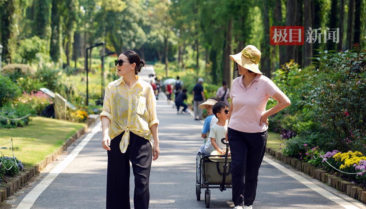 如何注册娱乐网